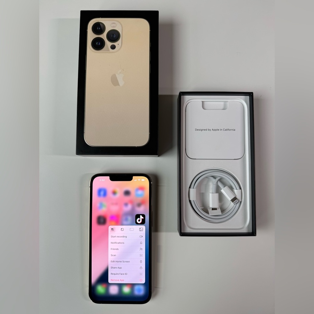Apple iPhone 13 Pro - WITH TIKTOK INSTALLED - 256GB “Gold” (Unlocked)